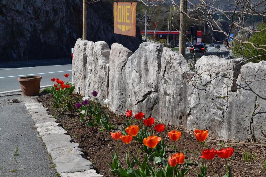 Una Apartment Cetinje Luaran gambar